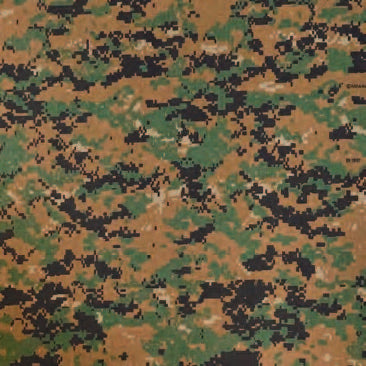 CAMOUFLAGE BANDANNA 22