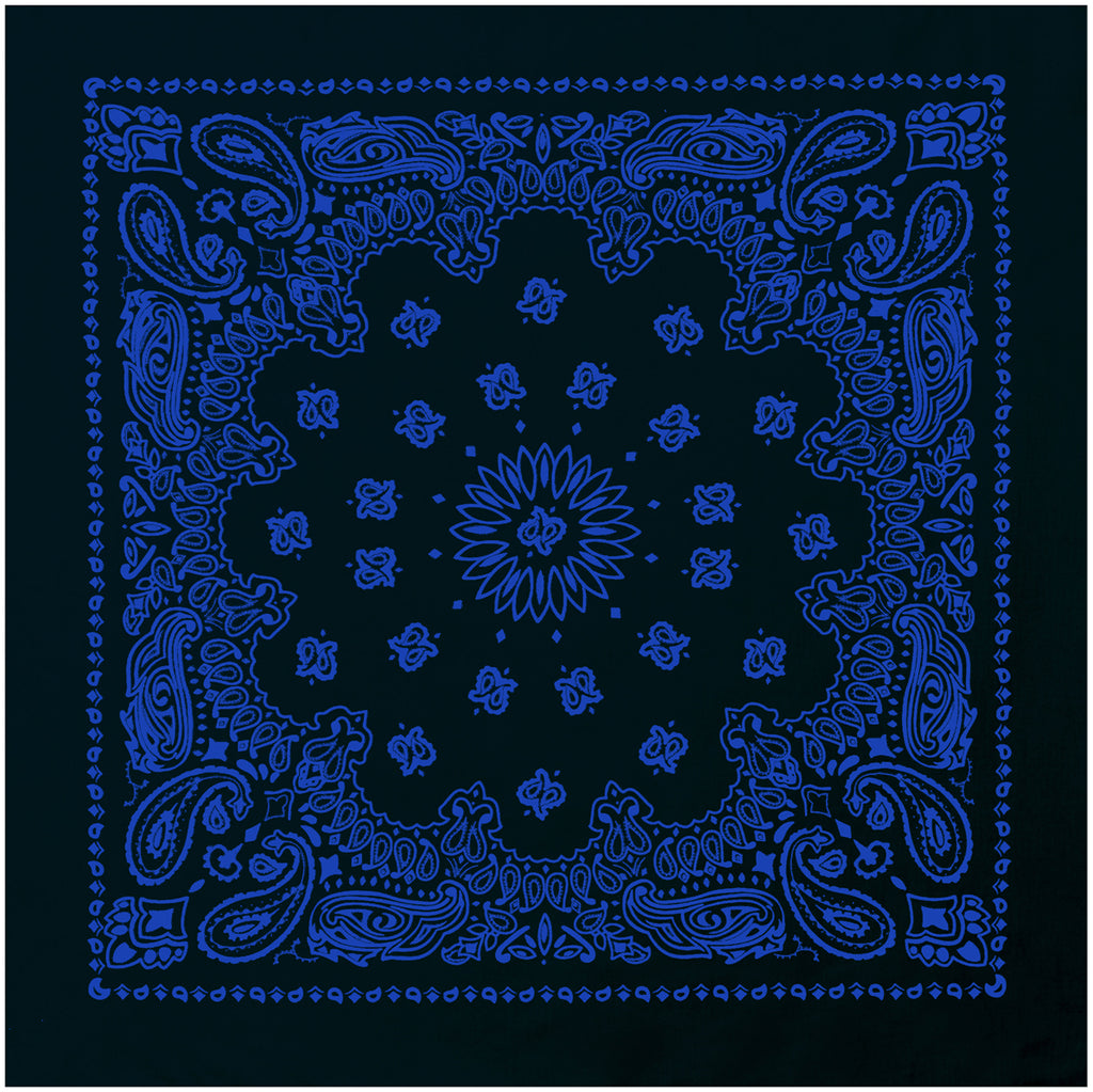 PAISLEY BANDANNA 22