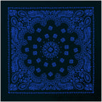 PAISLEY BANDANNA 22
