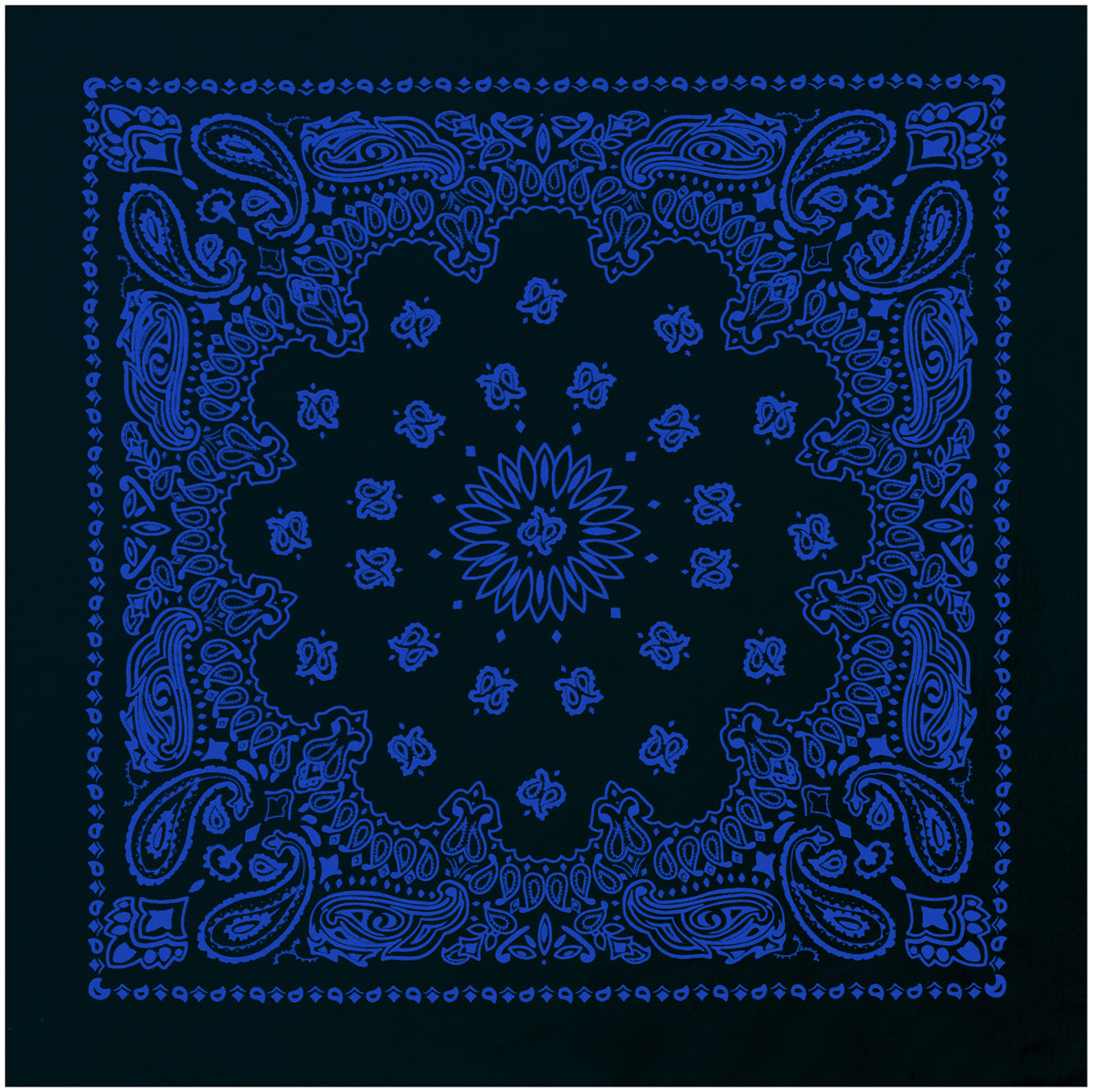 PAISLEY BANDANNA 22