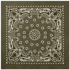 PAISLEY BANDANNA 22
