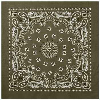 PAISLEY BANDANNA 22