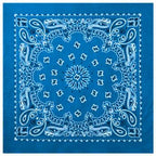 PAISLEY BANDANNA 22