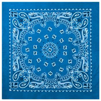 PAISLEY BANDANNA 22