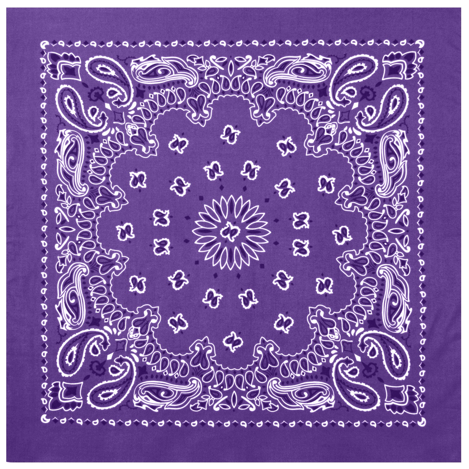 PAISLEY BANDANNA 22