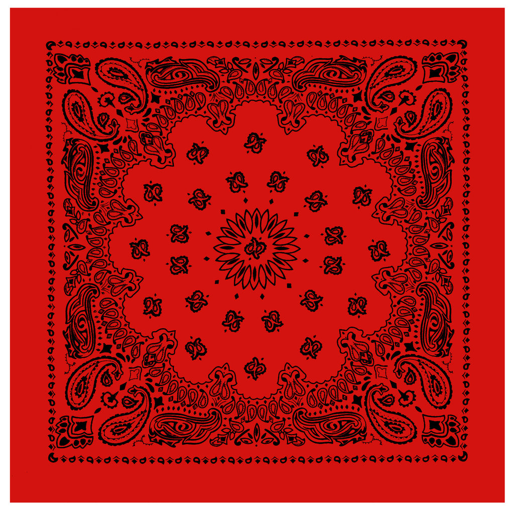 PAISLEY BANDANNA 22