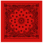 PAISLEY BANDANNA 22
