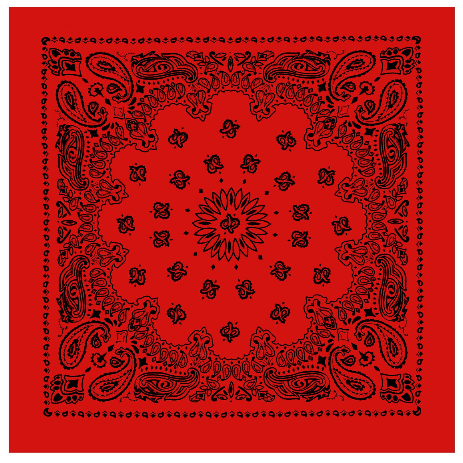 PAISLEY BANDANNA 22