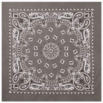 PAISLEY BANDANNA 22