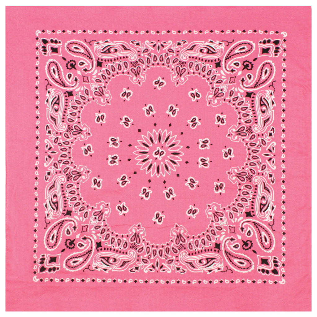 PAISLEY BANDANNA 22
