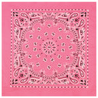 PAISLEY BANDANNA 22