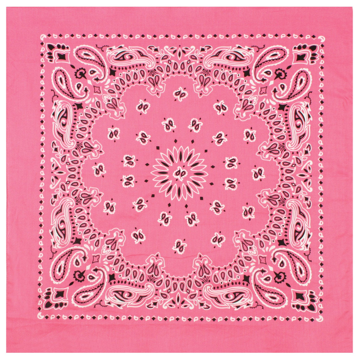 PAISLEY BANDANNA 22