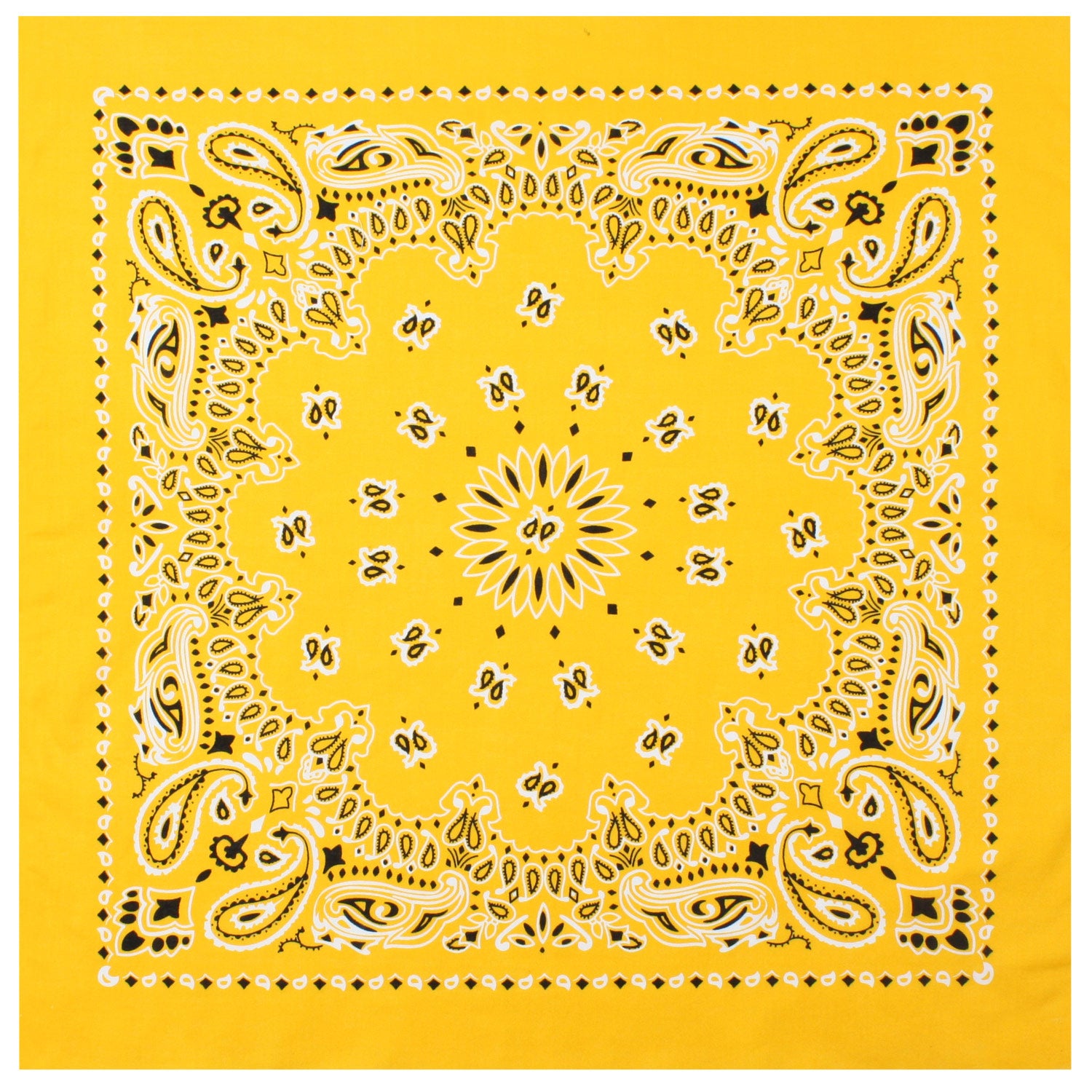 PAISLEY BANDANNA 22