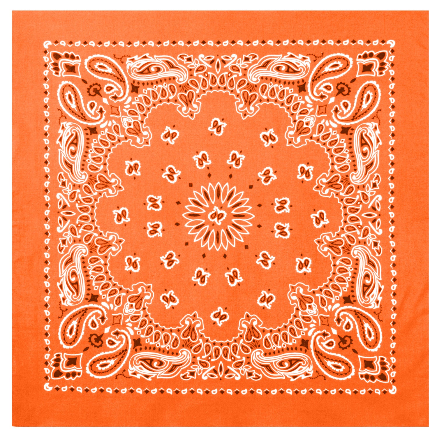 PAISLEY BANDANNA 22
