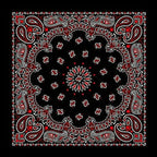 PAISLEY BANDANNA 22