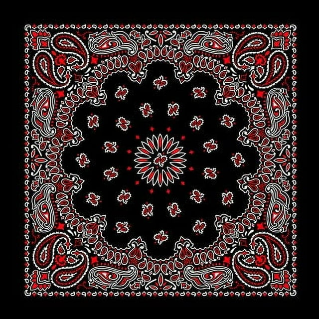 PAISLEY BANDANNA 22