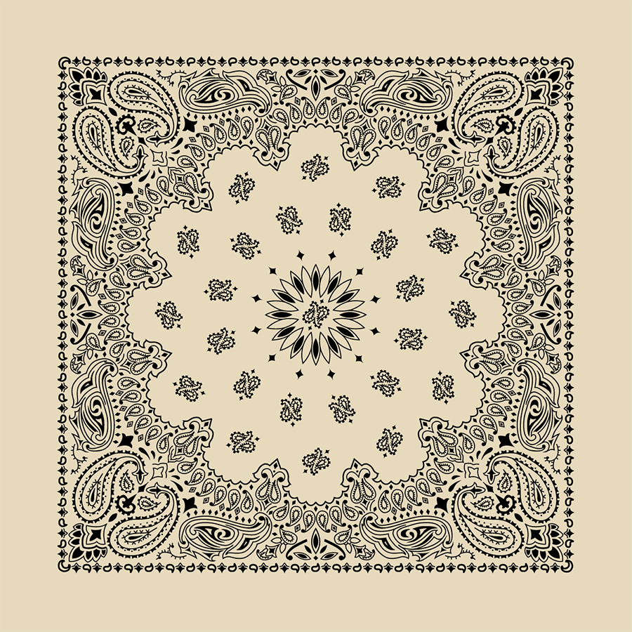 PAISLEY BANDANNA 22