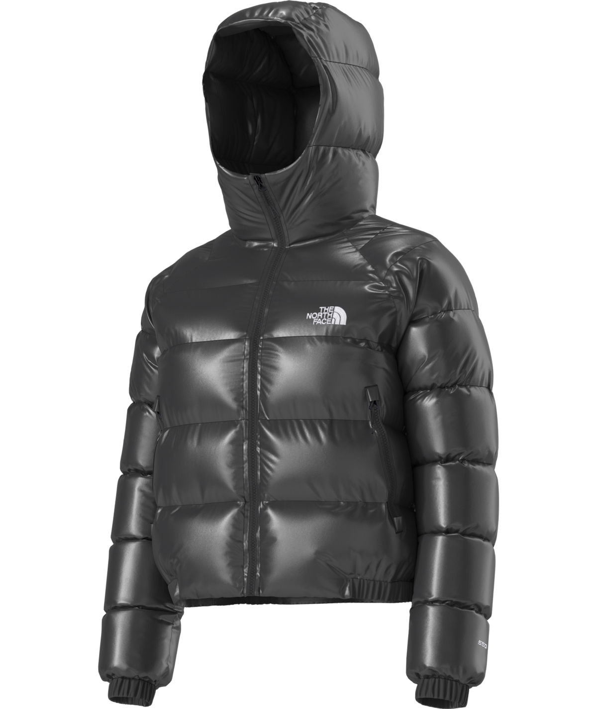 Women's Hydrenalite™ Down Hoodie - TNF Black Shine