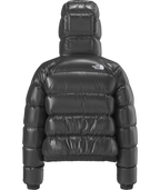 Women's Hydrenalite™ Down Hoodie - TNF Black Shine