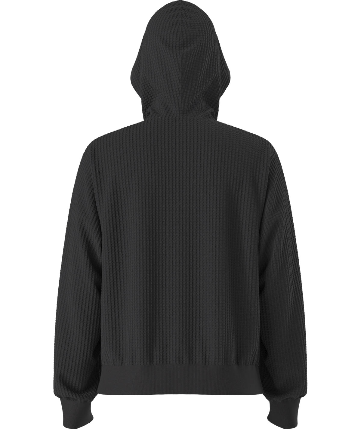 Women's Chabot 2.0 Hoodie - TNF Black