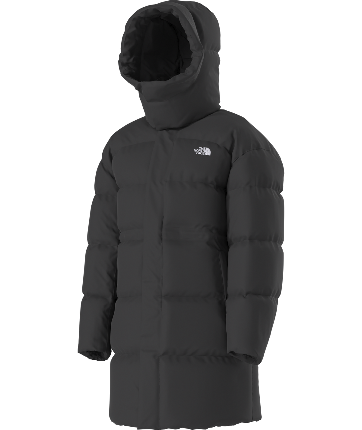 Women's Puffer Oversized Parka - TNF Black
