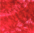 TIE DYE BANDANNA 22