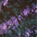 TIE DYE BANDANNA 22