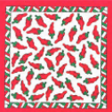 NOVELTY BANDANNA 22