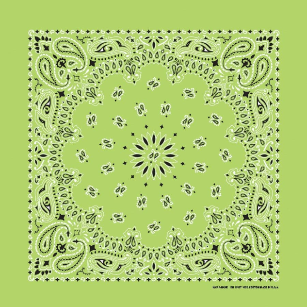 PAISLEY BANDANNA 22