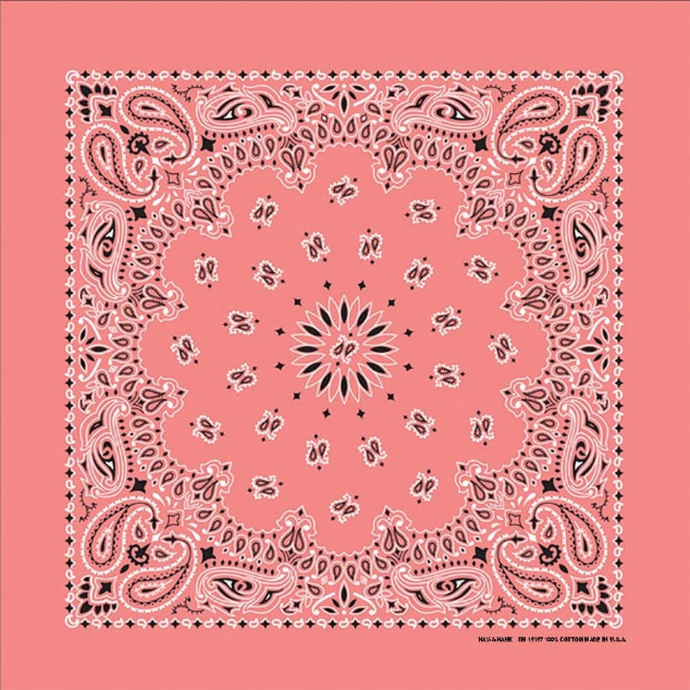 PAISLEY BANDANNA 22