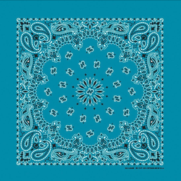 PAISLEY BANDANNA 22