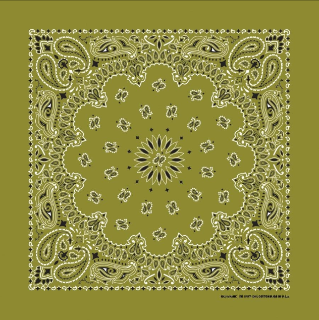 PAISLEY BANDANNA 22