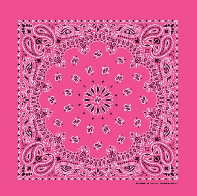 PAISLEY BANDANNA 22