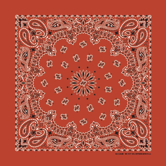 PAISLEY BANDANNA 22