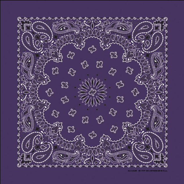 PAISLEY BANDANNA 22