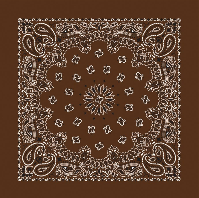 PAISLEY BANDANNA 22