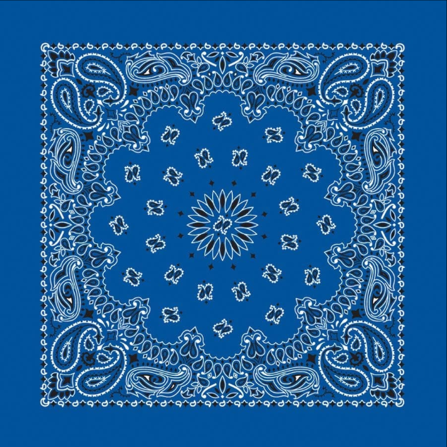 PAISLEY BANDANNA 22