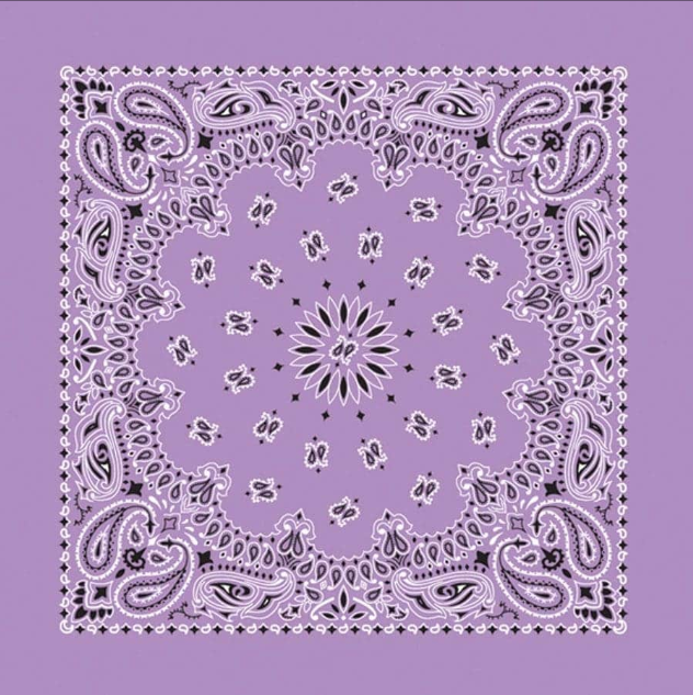 PAISLEY BANDANNA 22
