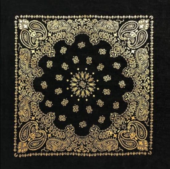 PAISLEY BANDANNA 22