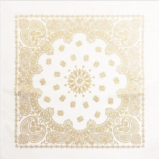 PAISLEY BANDANNA 22