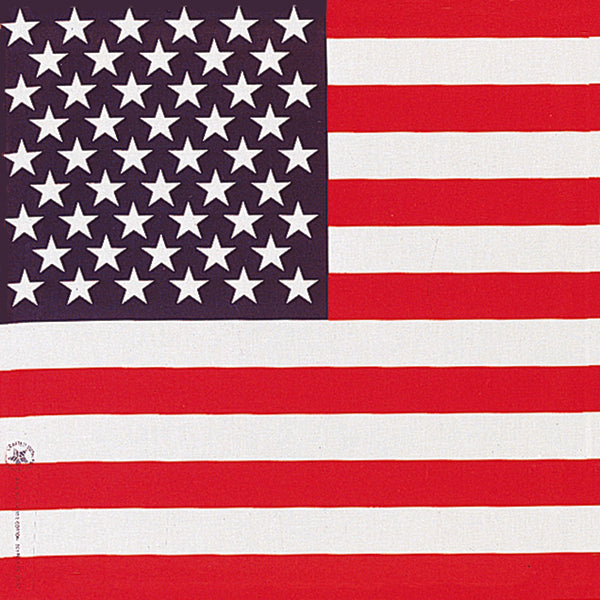 PATRIOTIC BANDANNA 22