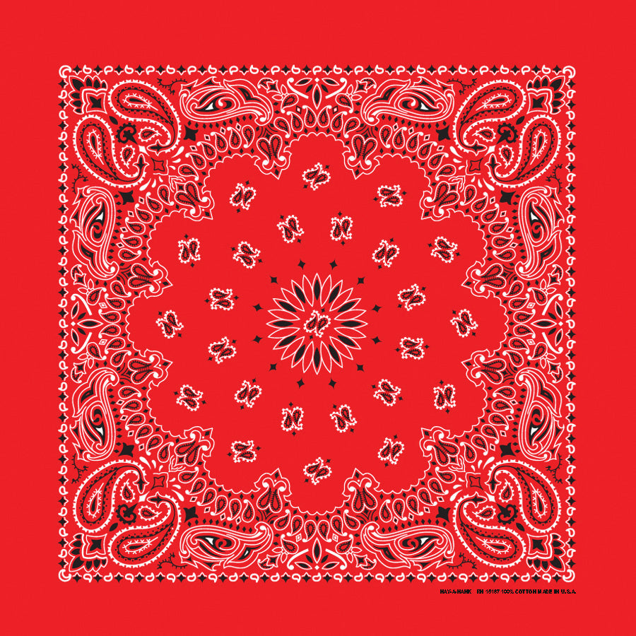 PAISLEY BANDANNA 22