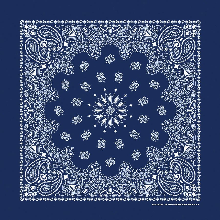PAISLEY BANDANNA 22