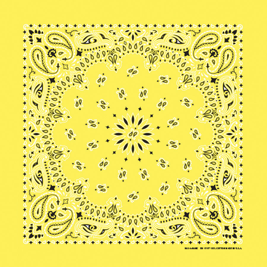 PAISLEY BANDANNA 22