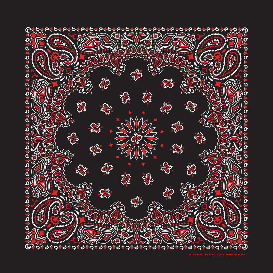 PAISLEY BANDANNA 22