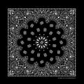 PAISLEY BANDANNA 22