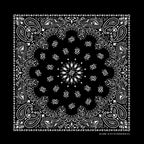PAISLEY BANDANNA 22