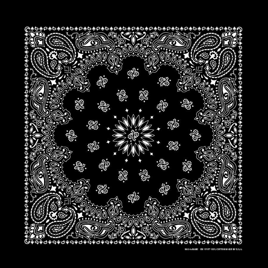 PAISLEY BANDANNA 22