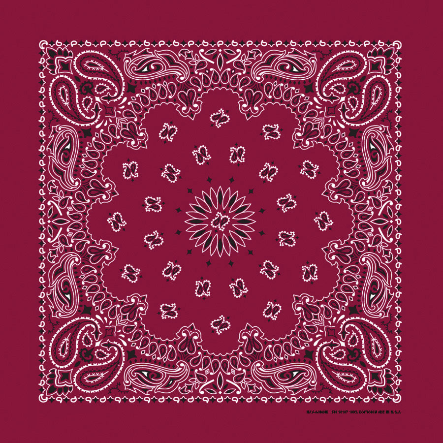 PAISLEY BANDANNA 22