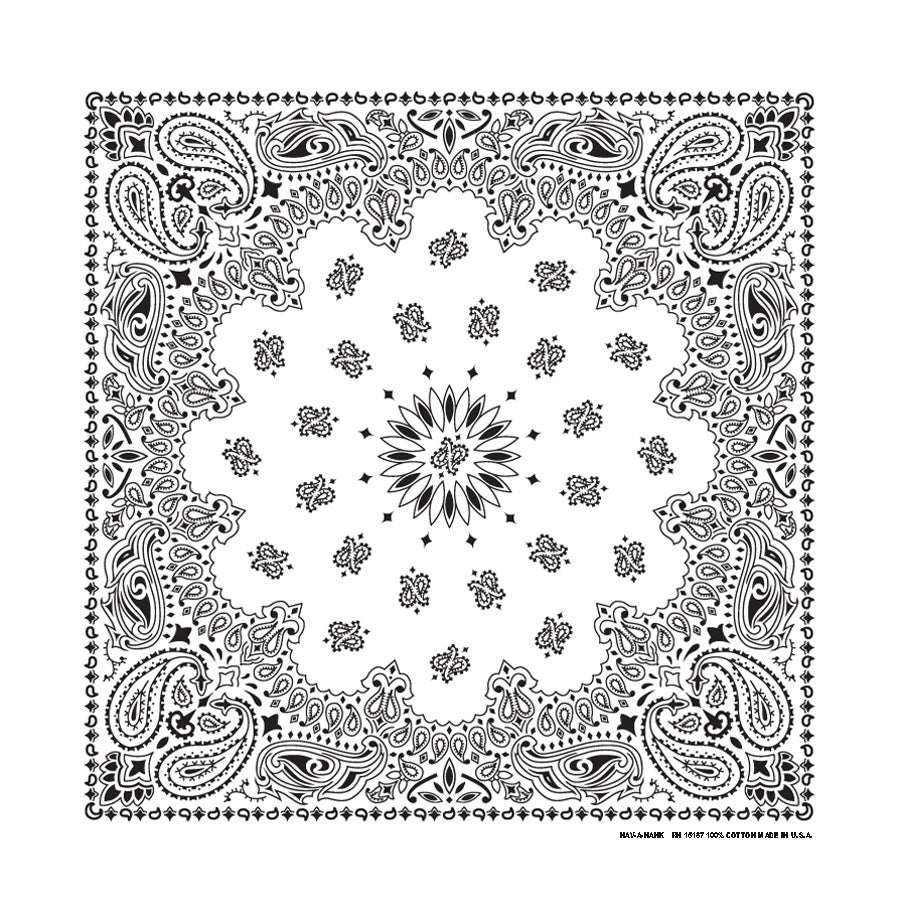 PAISLEY BANDANNA 22